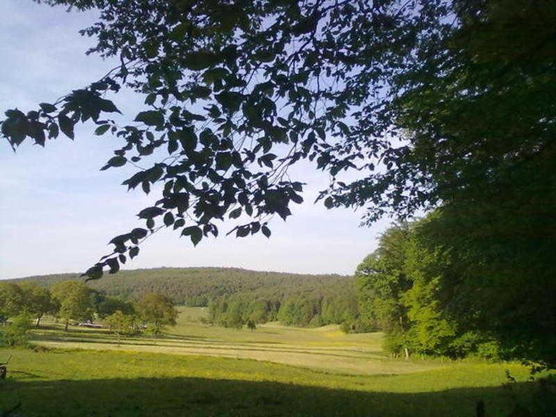Ferienwohnungen Zeltnerhof Breitenbrunn  Bagian luar foto